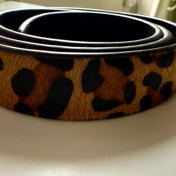 Zara Cheetah Belt with Gold Buckle Size L - Picture 6 of 6
